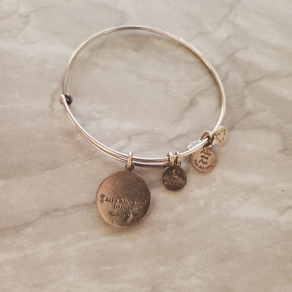 💖 Alex and ani Silver Path of Life Expandable Charm Bracelet Bangle 💖 - Picture 2 of 3